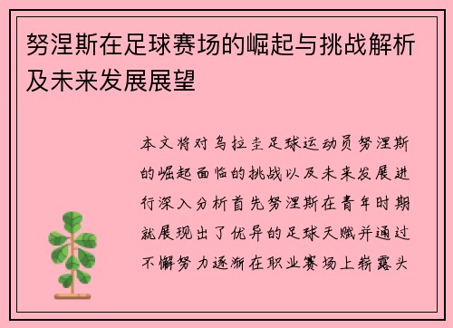 努涅斯在足球赛场的崛起与挑战解析及未来发展展望