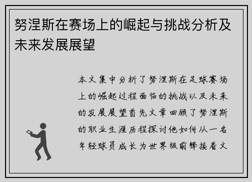 努涅斯在赛场上的崛起与挑战分析及未来发展展望